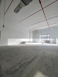 Ct Foodnex (D25), Factory #586602181